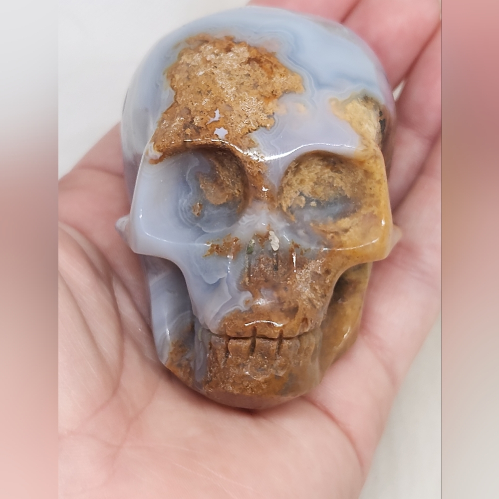 Rare Blue Banded Plume Moss Agate Skull, Druzy Quartz 💀 Crystal Collector Decor - Picture 6 of 13
